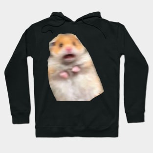 hamster meme peace sign Hoodie